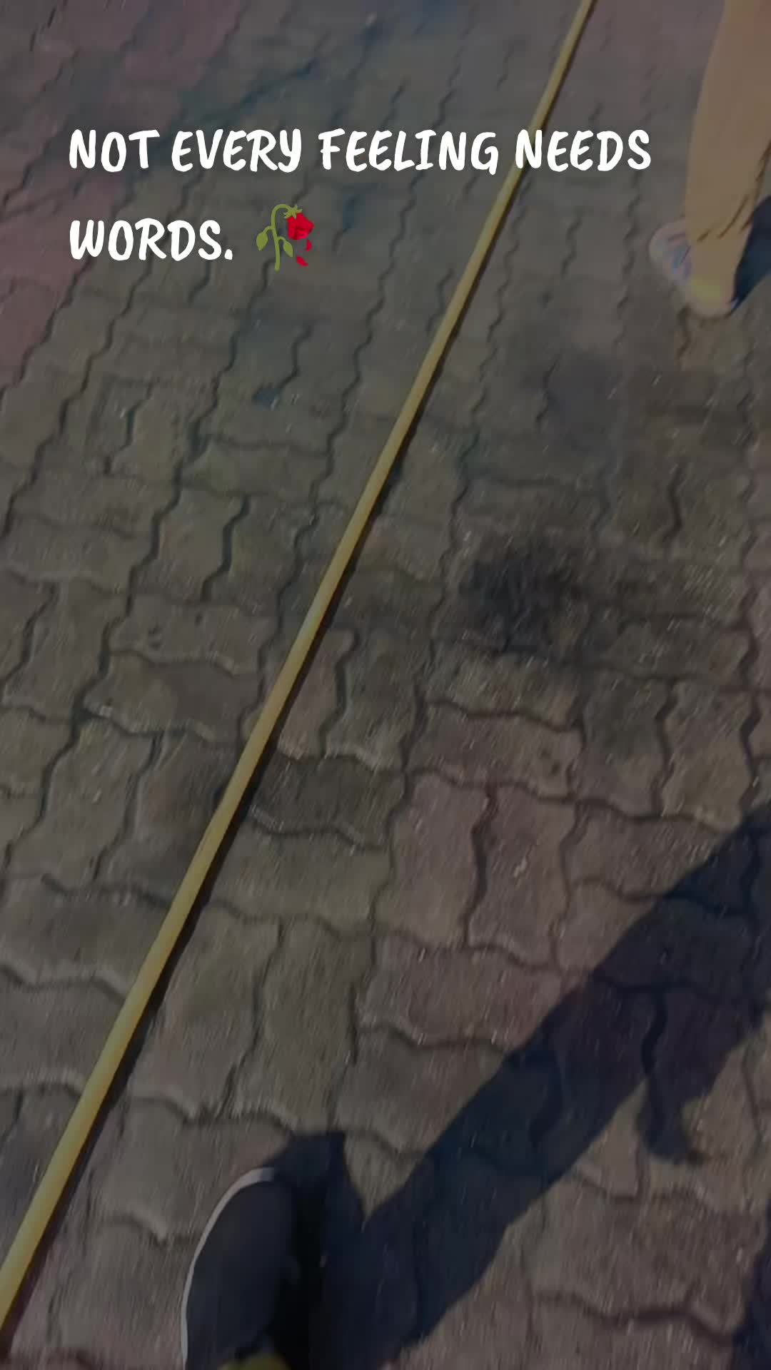 @alichagata