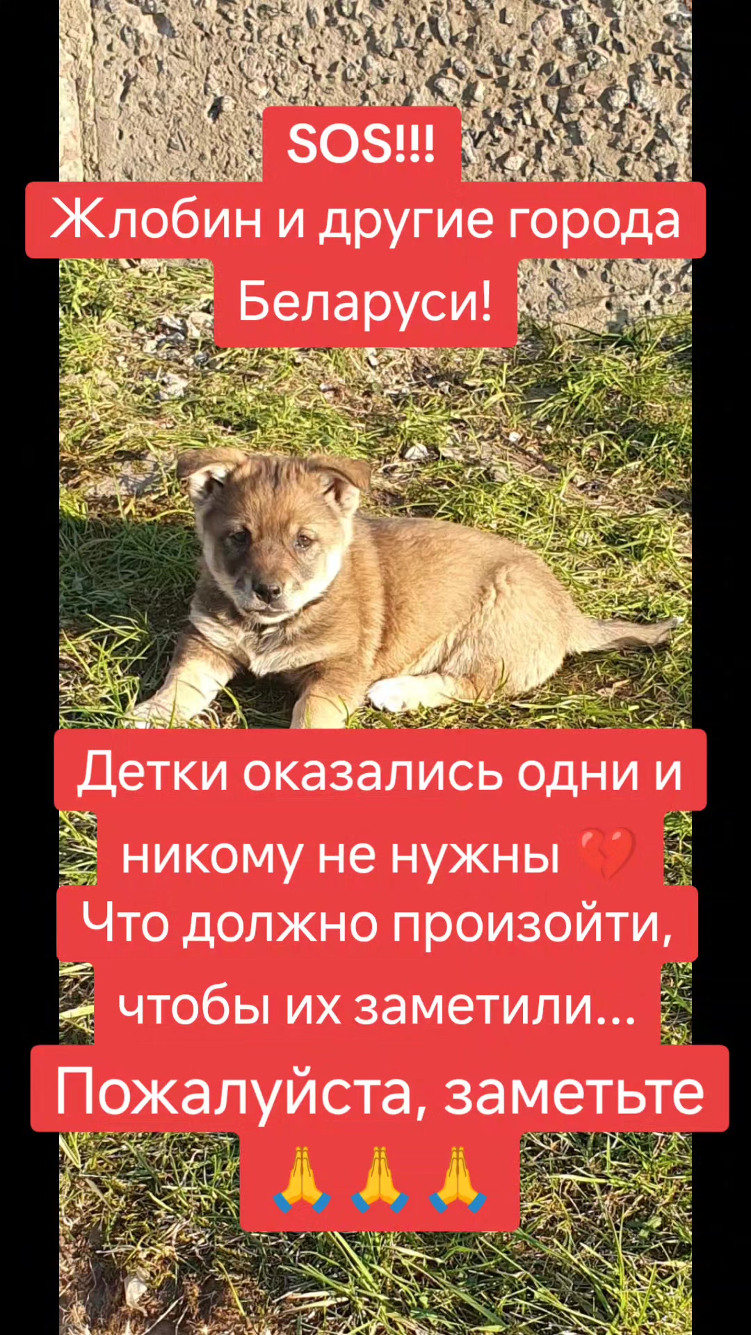 @Светлана Козлова