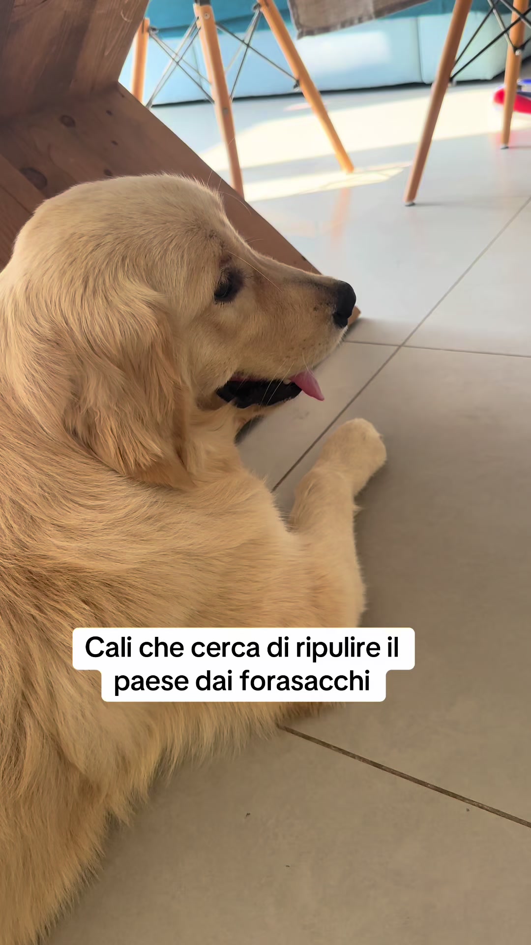 @Raffa&Cali