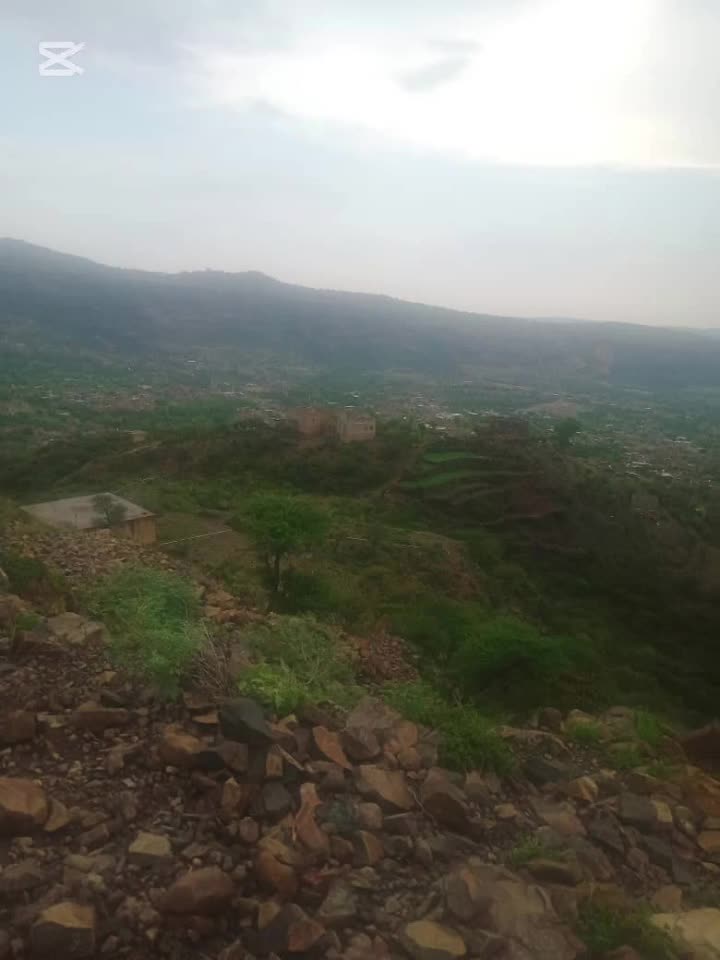 @سعيد نظير العزعزي