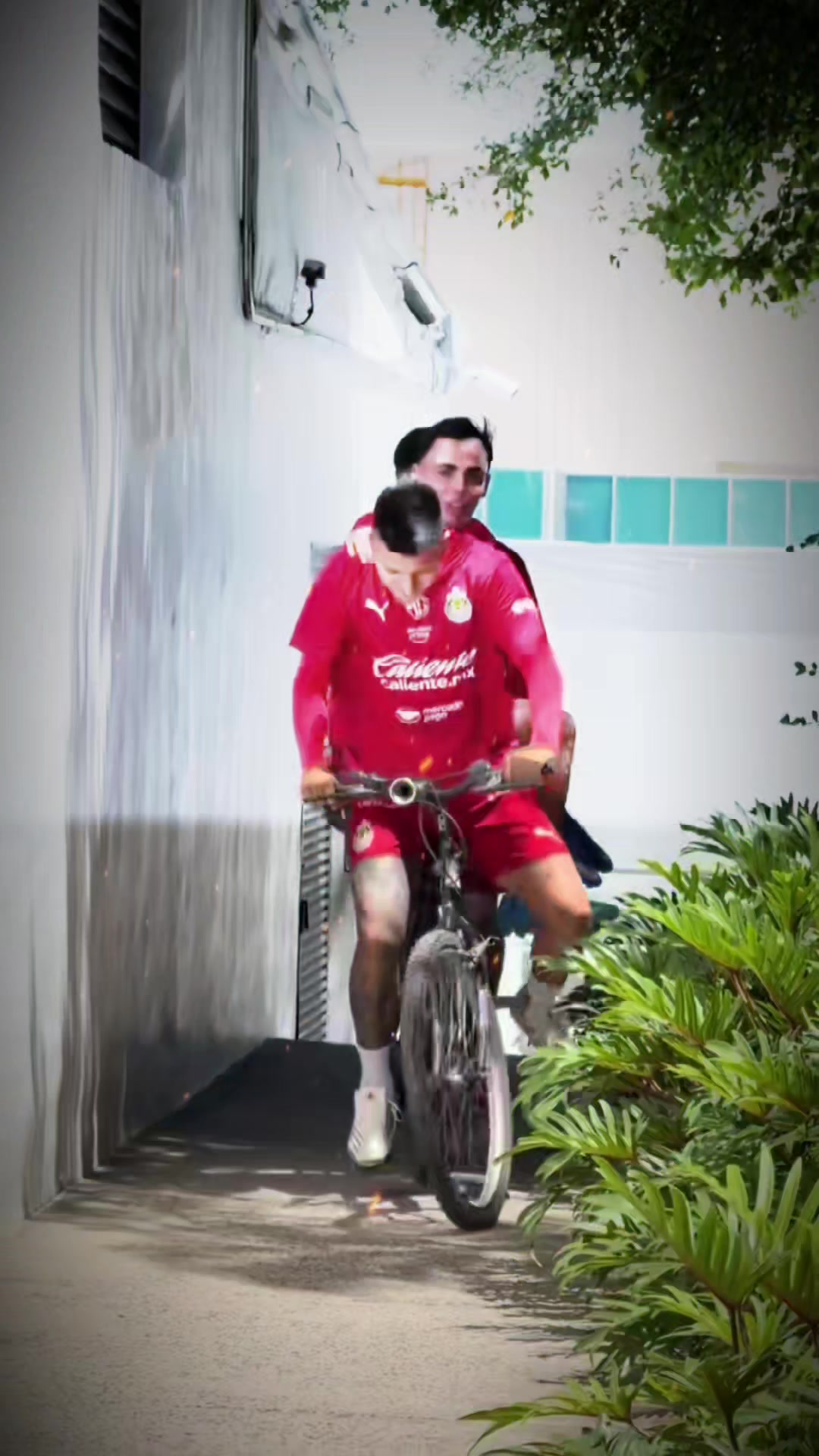 @Pedritooo007🐐❤️🇲🇽