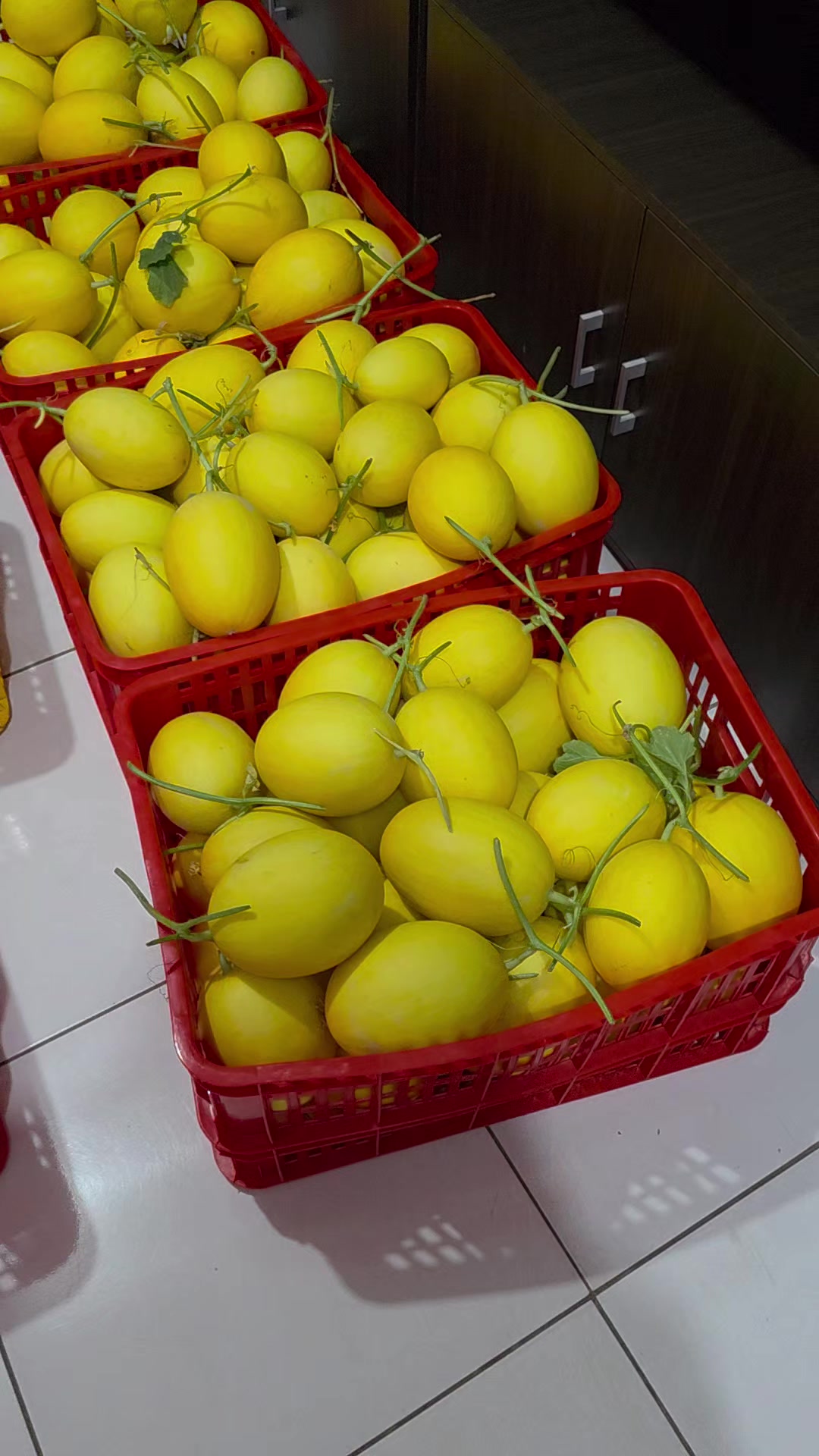 @Viurin Nursery