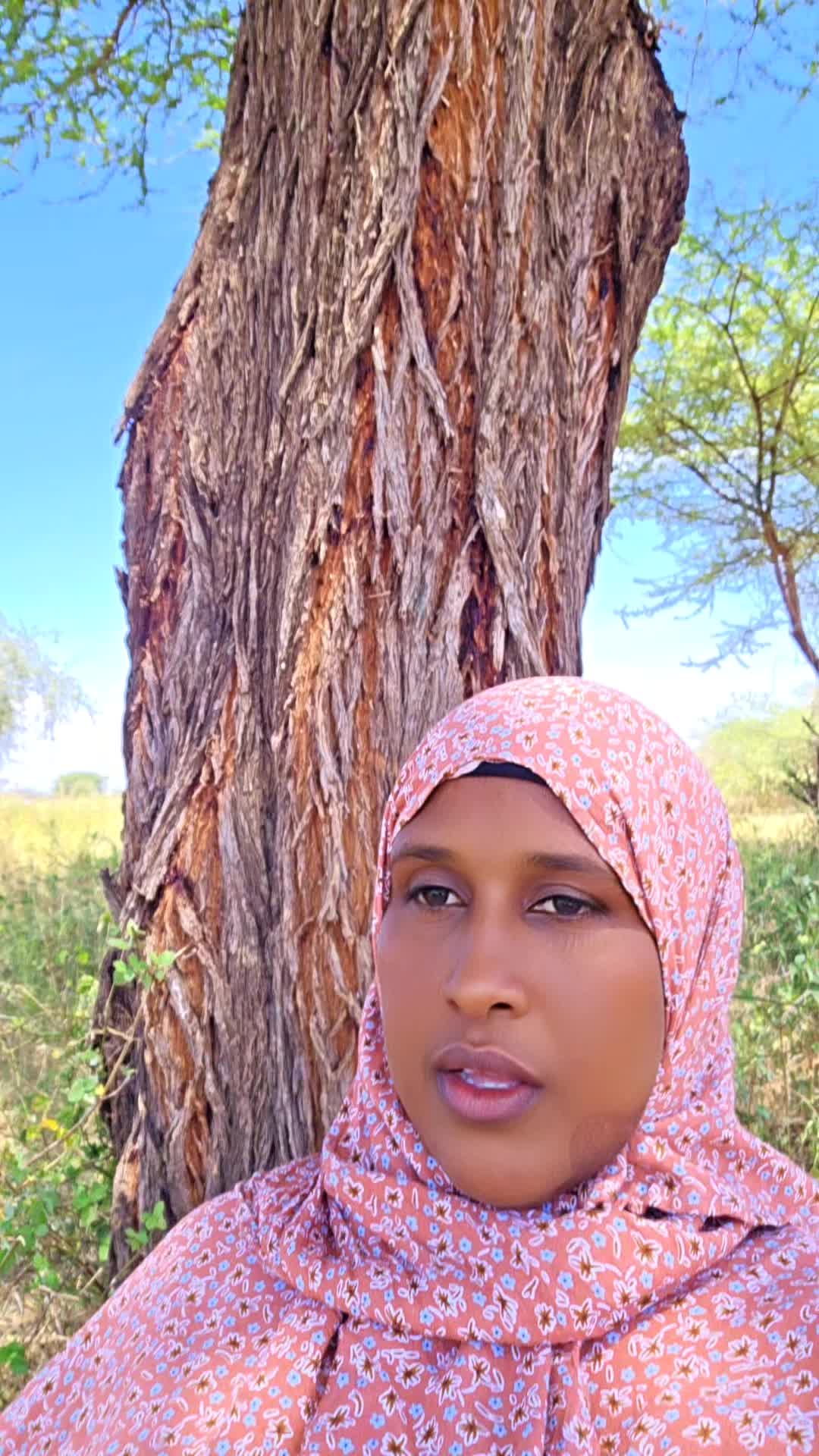 @rusha roho