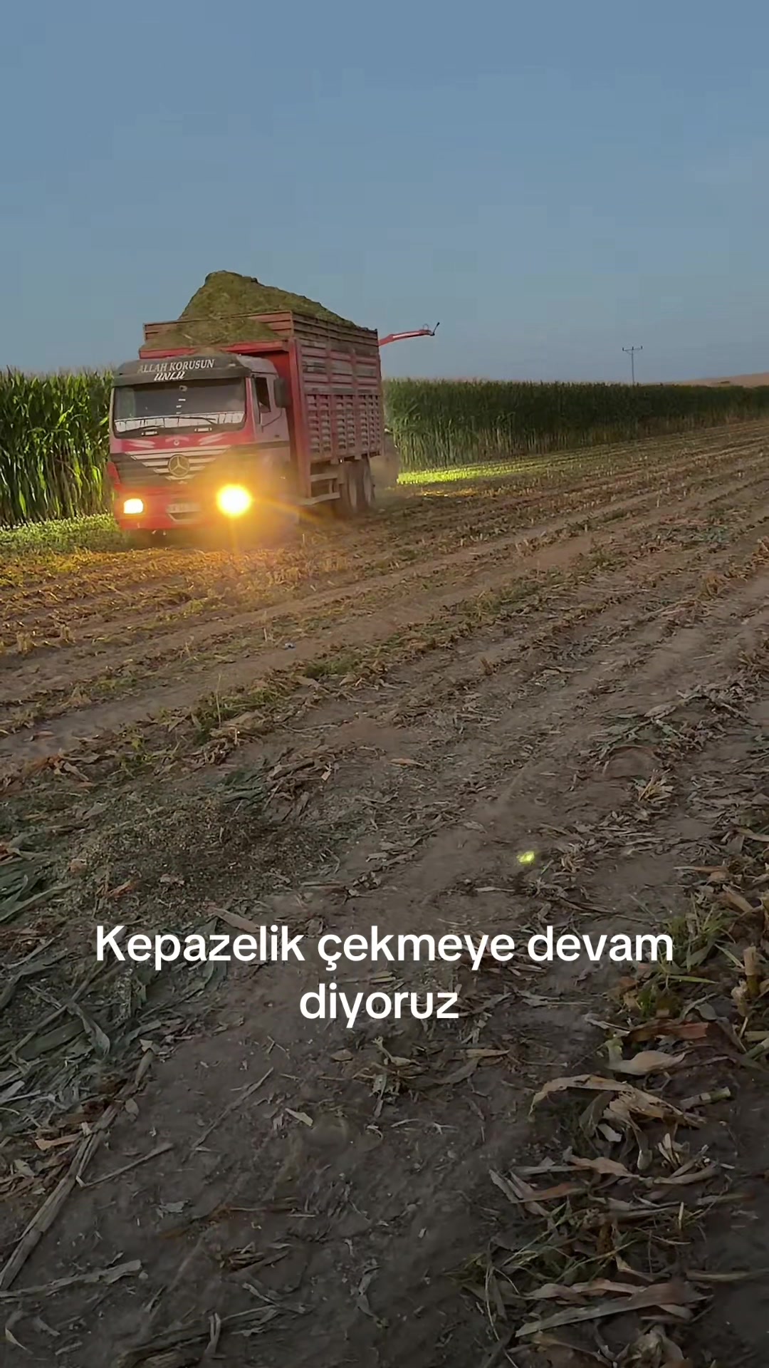 @D.Dağlı