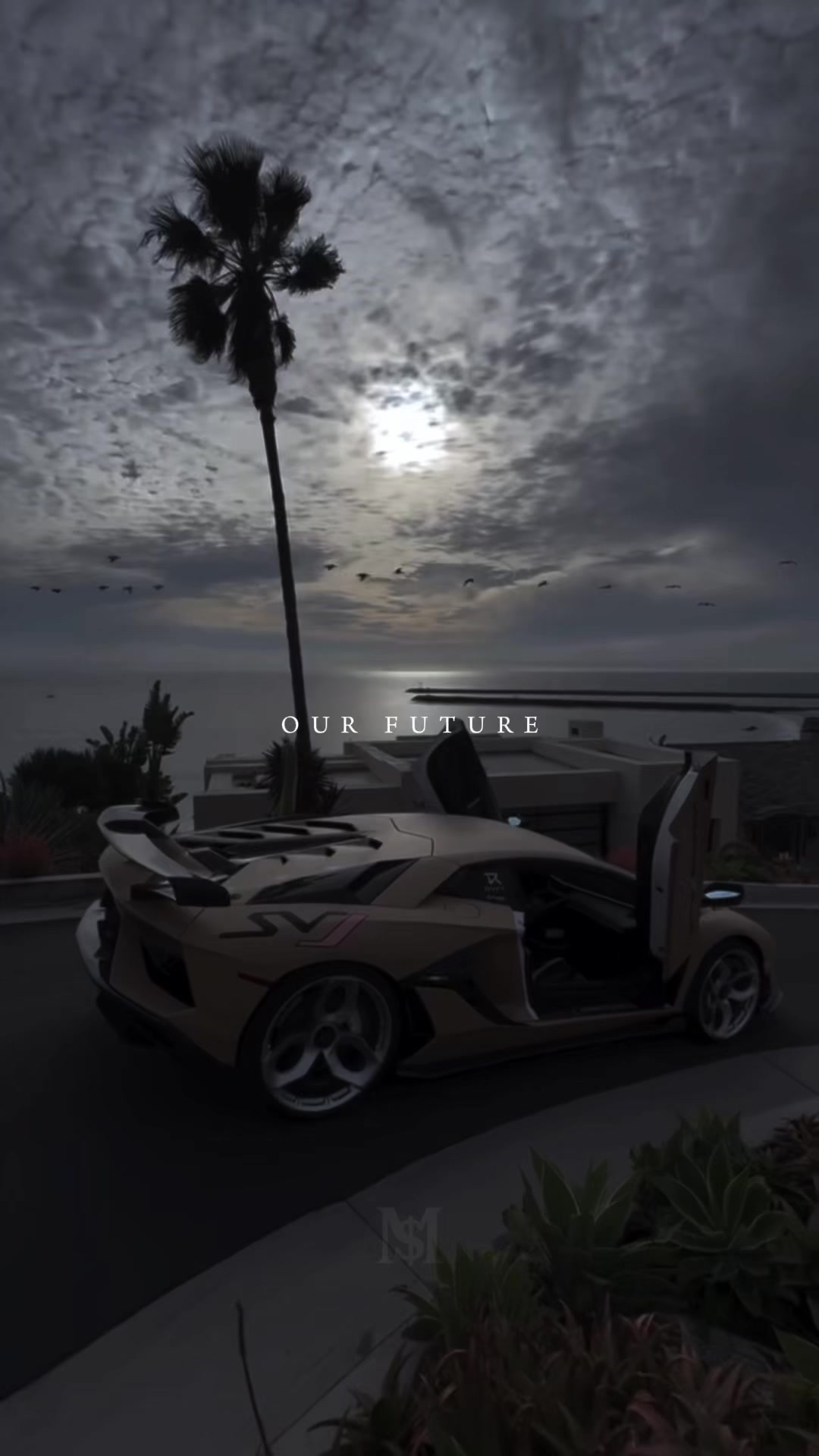 @Motify