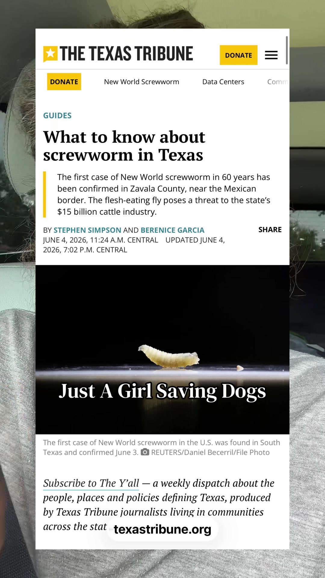 @Just A Girl Saving Dogs