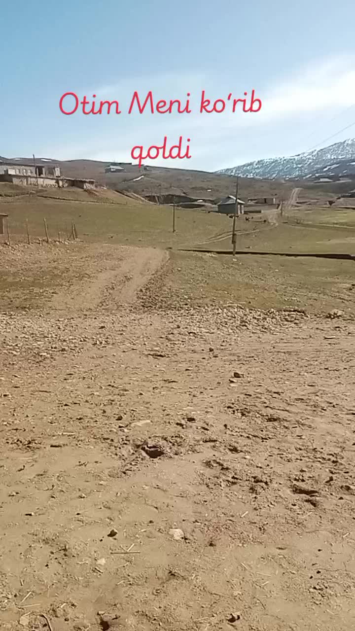 @Fazzli_Palvon_N1