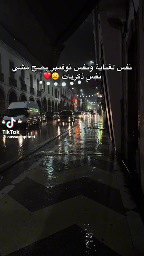 @amira mansour