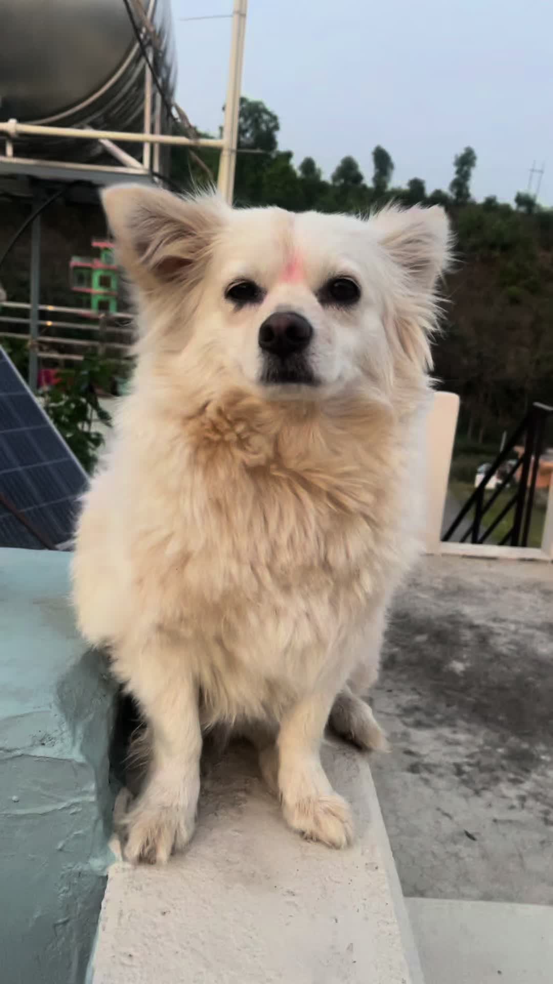 @jullyshrestha0