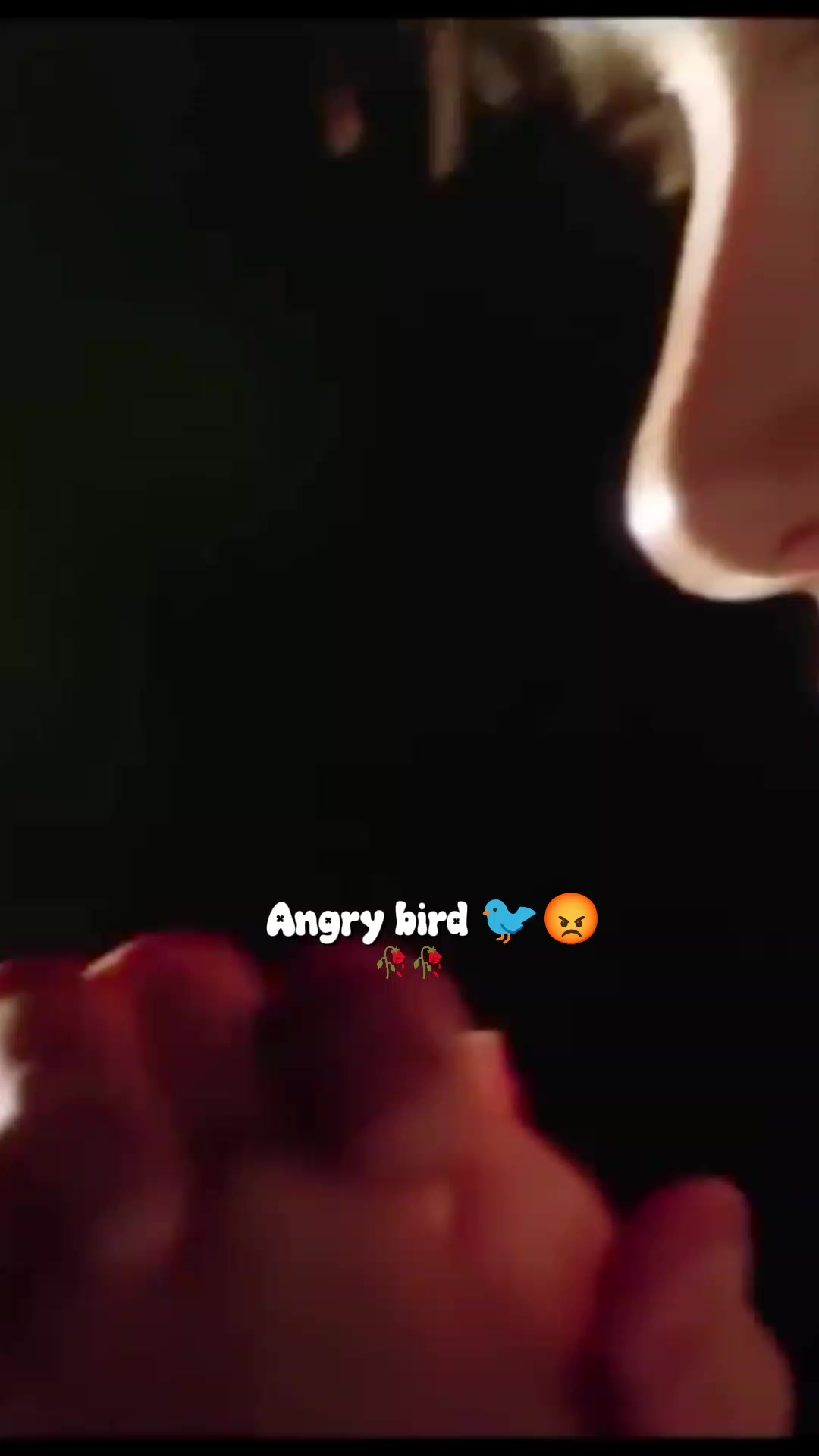 @💫𝖆𝖓𝖌𝖗𝖞 𝖇𝖎𝖗𝖉𝖘💫💥