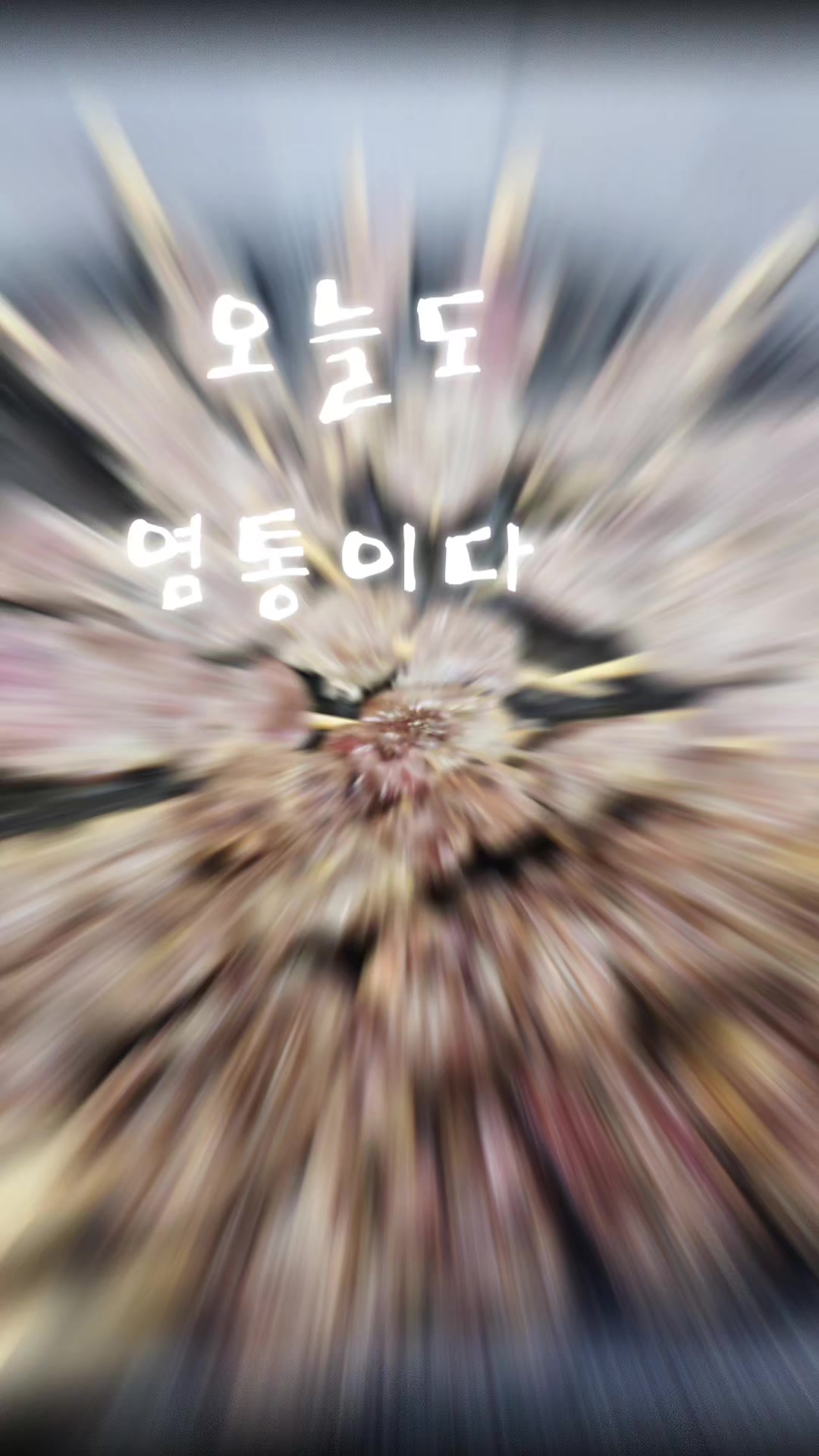 @🦜막끌리네🦜