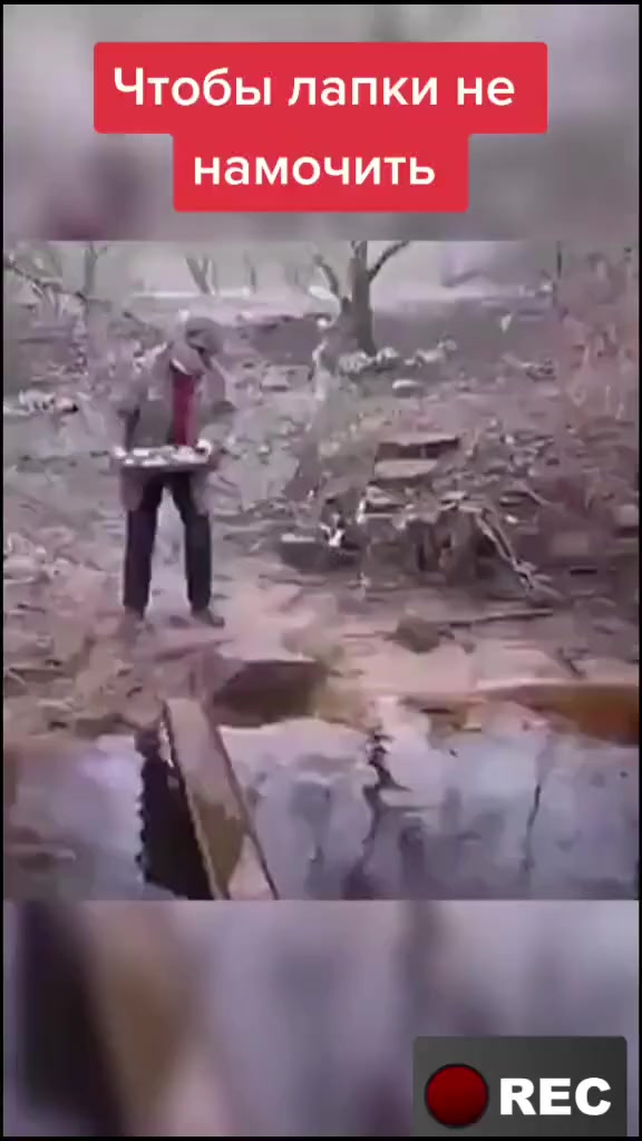 @Лариса