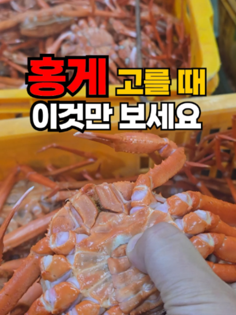 @싱싱헌터스