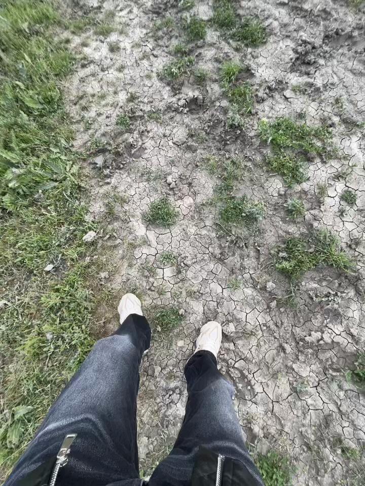 @Denbij_şakiro.
