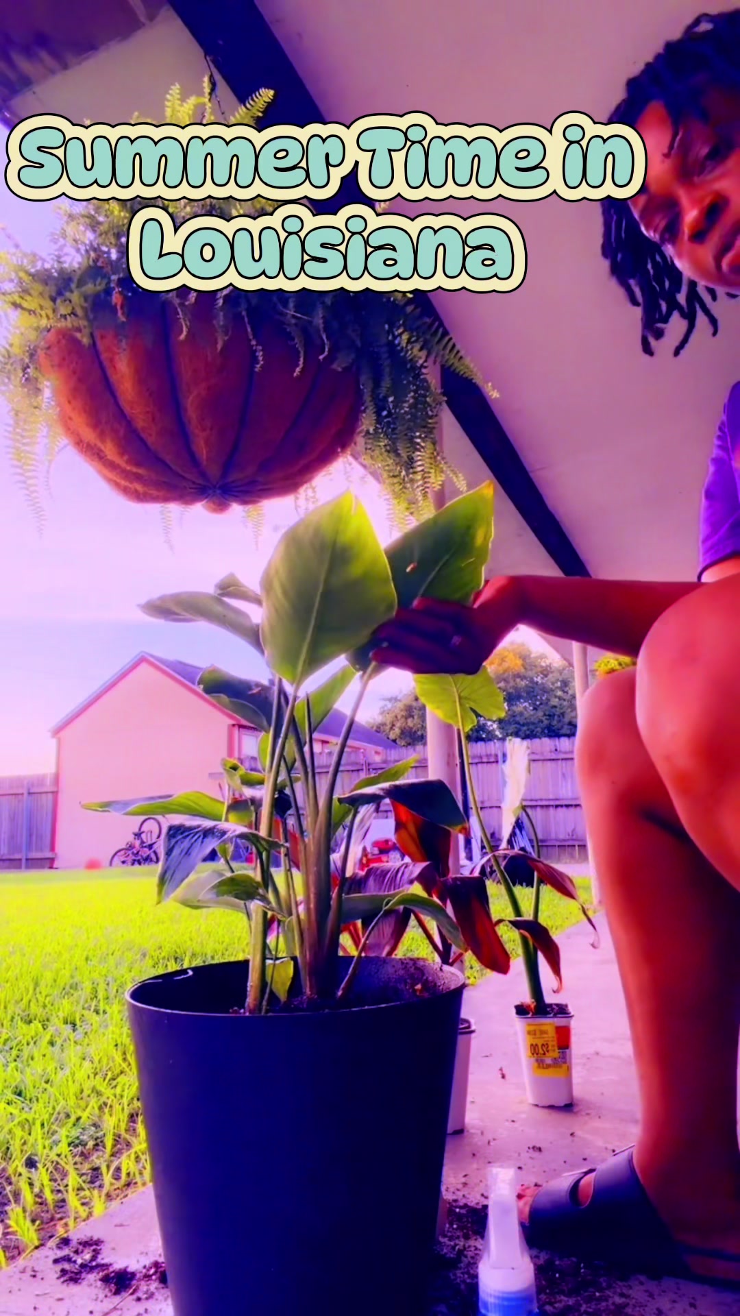 @The_evolutionofher