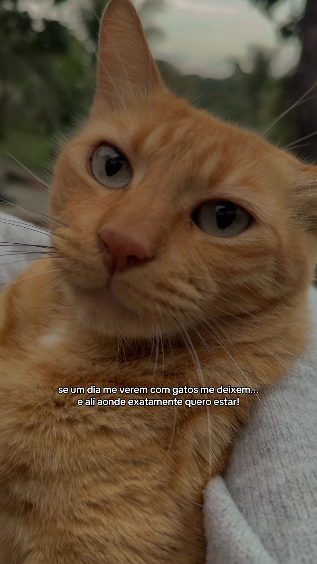@Aninha