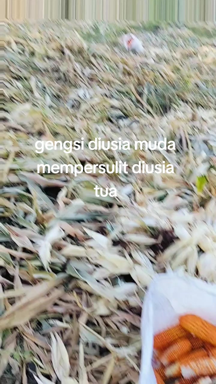 @saipulipul969
