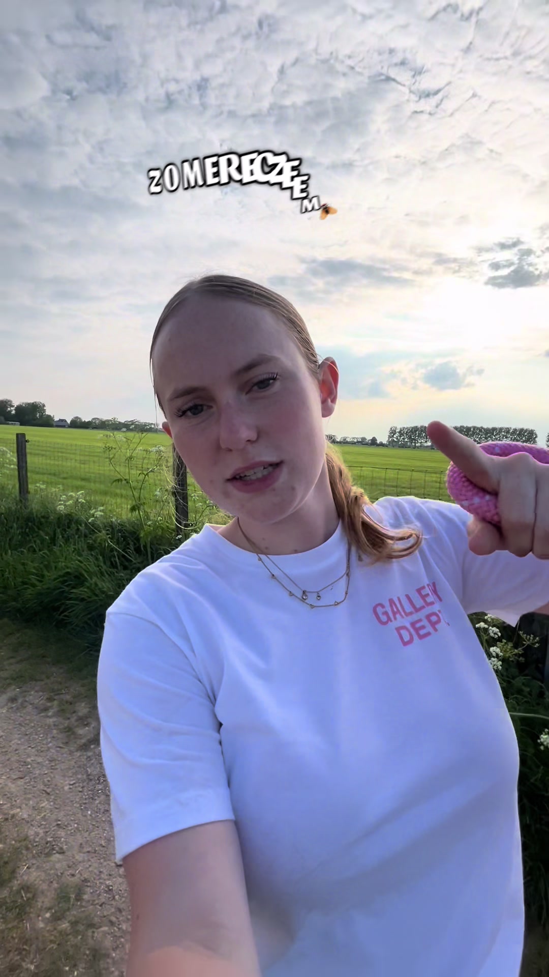 @idh_horses