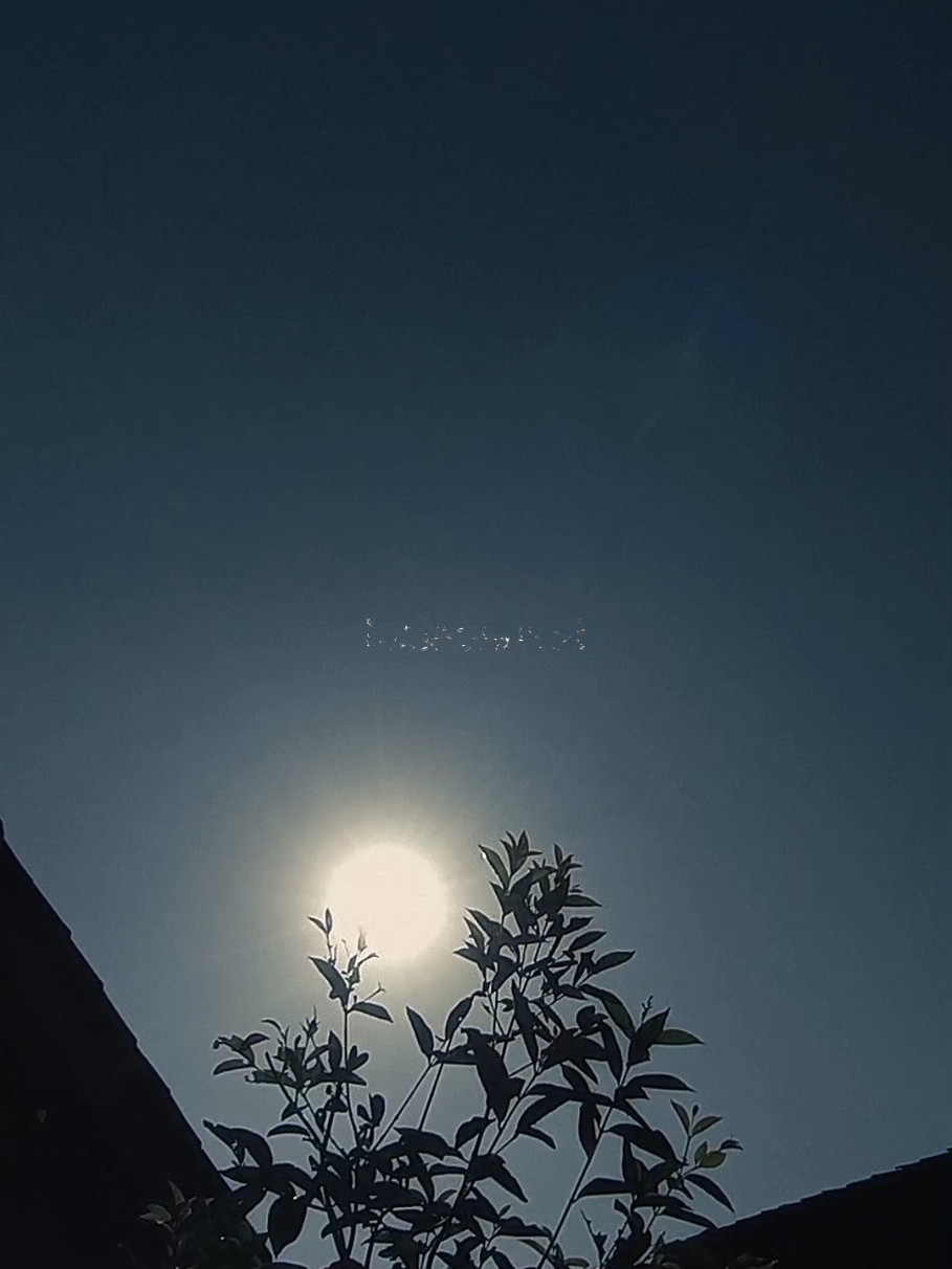 @𝙍𝙄𝙇 𝙏𝙀𝙈𝙋𝙇𝘼𝙏𝙀🌼