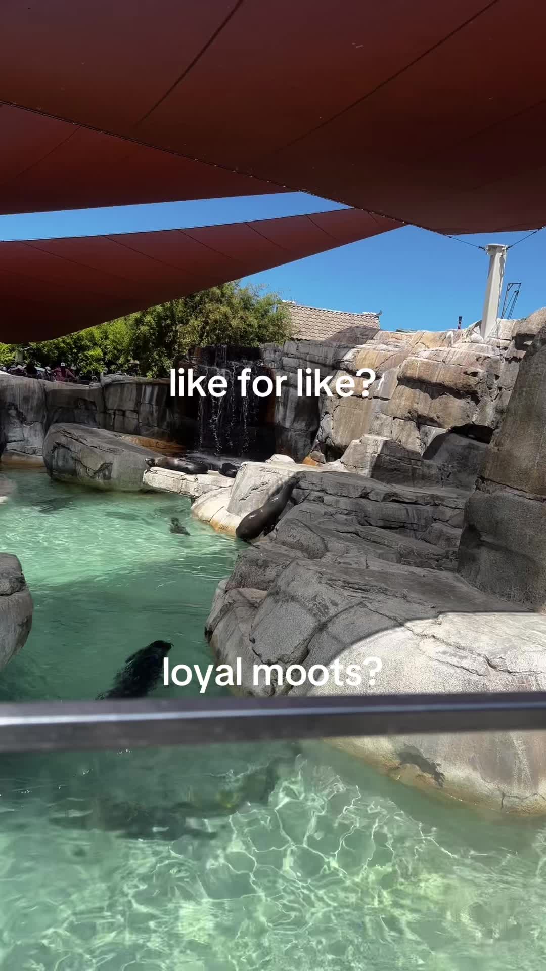 @like my reposts