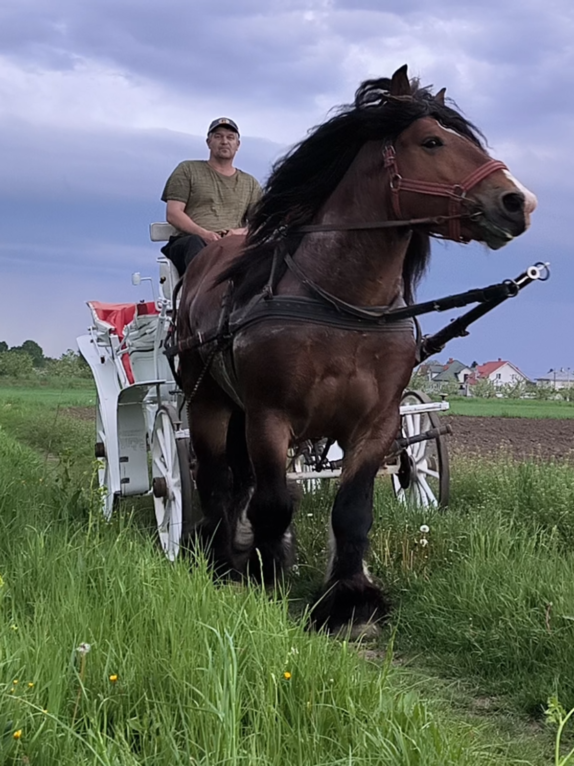 @ВАСЯ БОЙЧУК 🐎