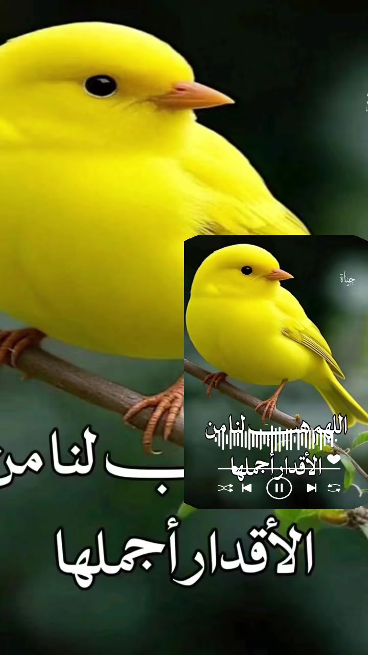 @طبعي غريب