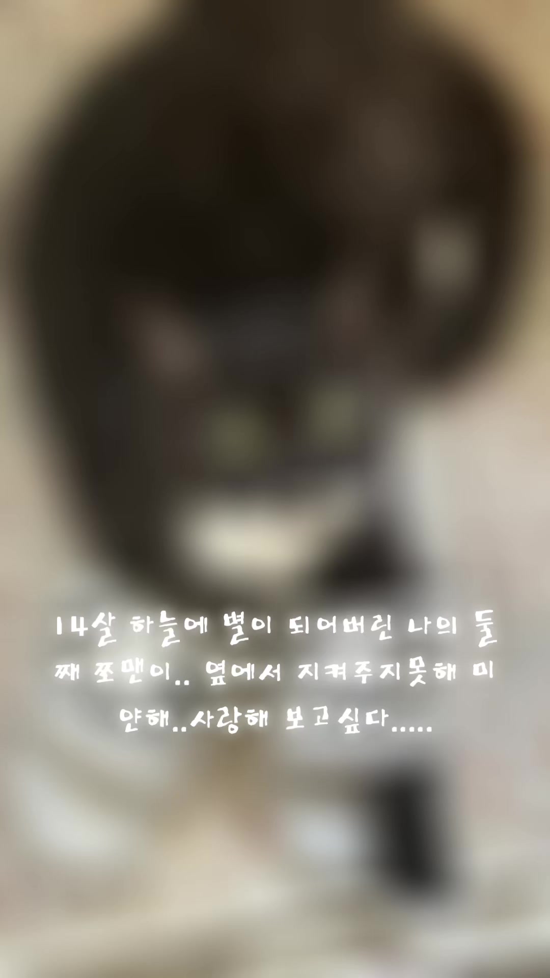 @롤타는 왕유니실장