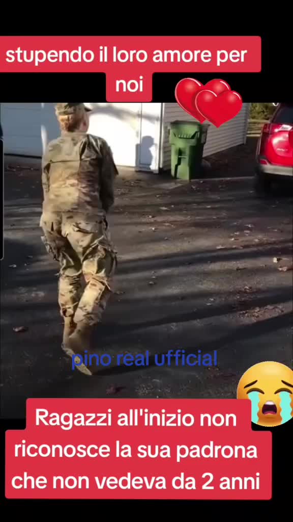 @pino real ufficial