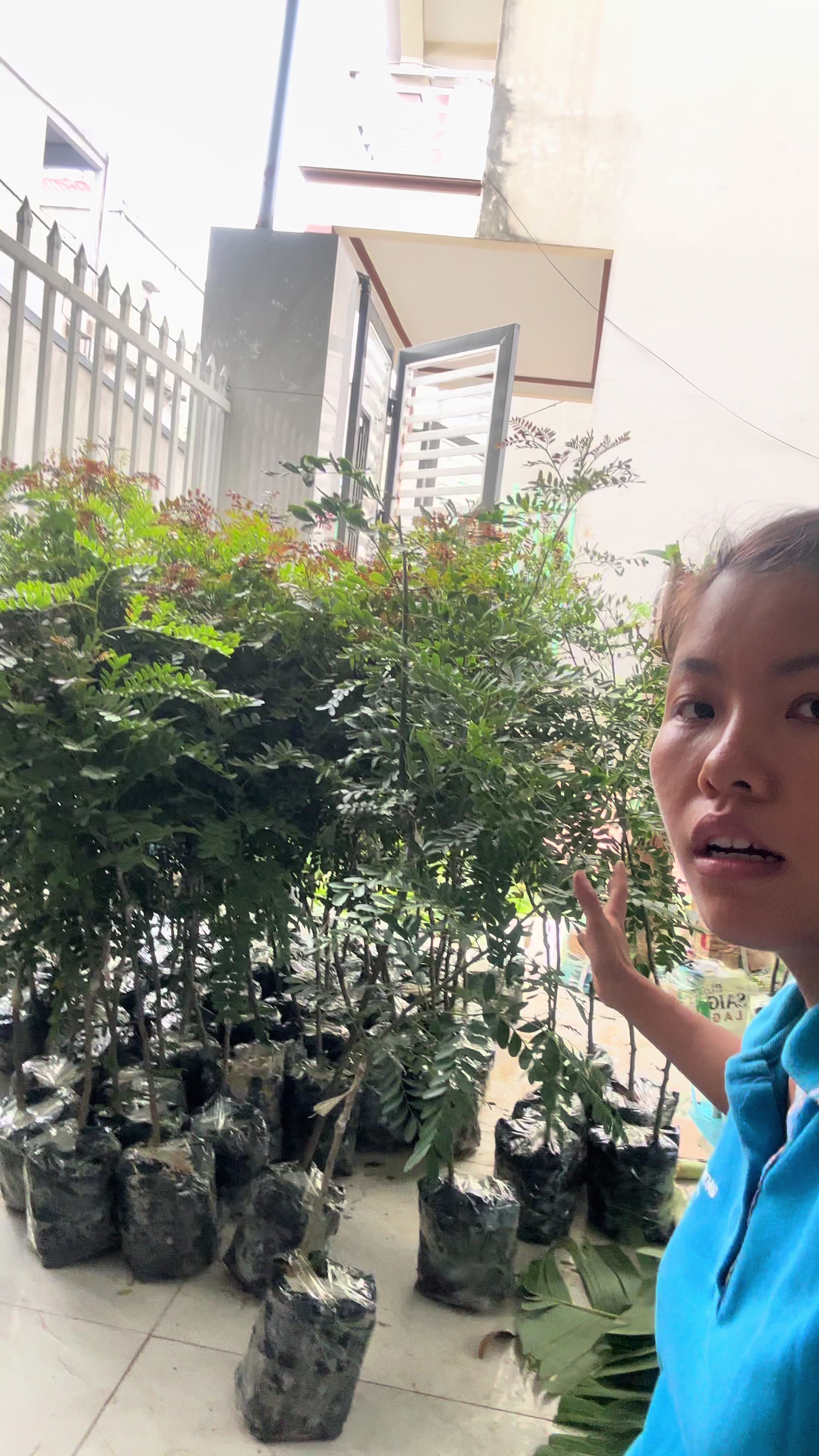 @Nh&agrave; Vườn Vũ Mai