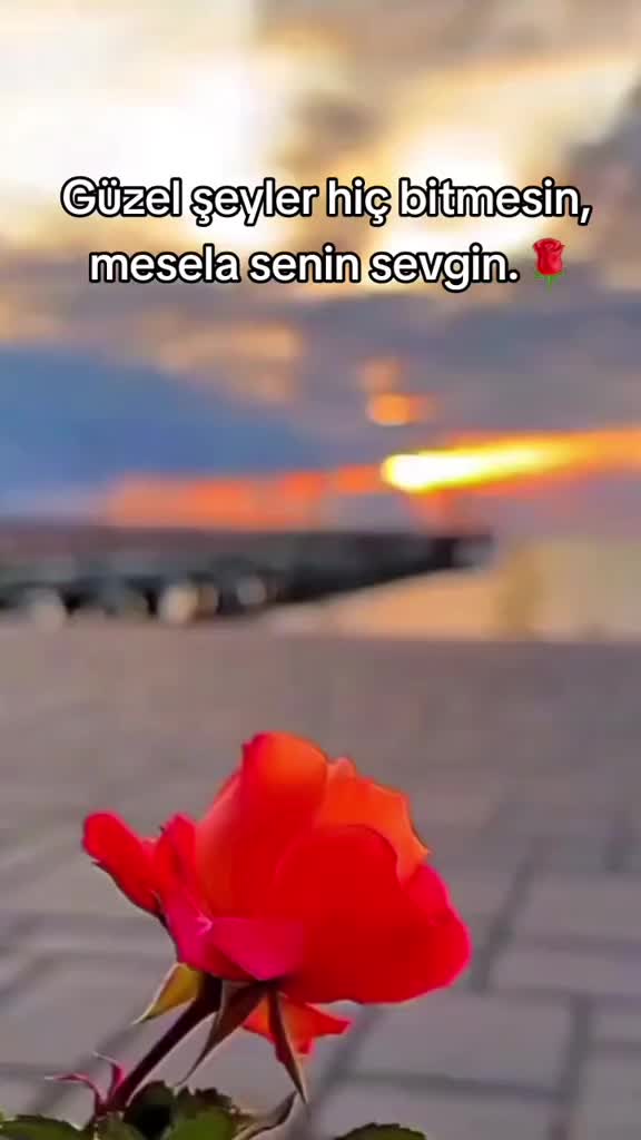 @💜Deli_Sevda💜