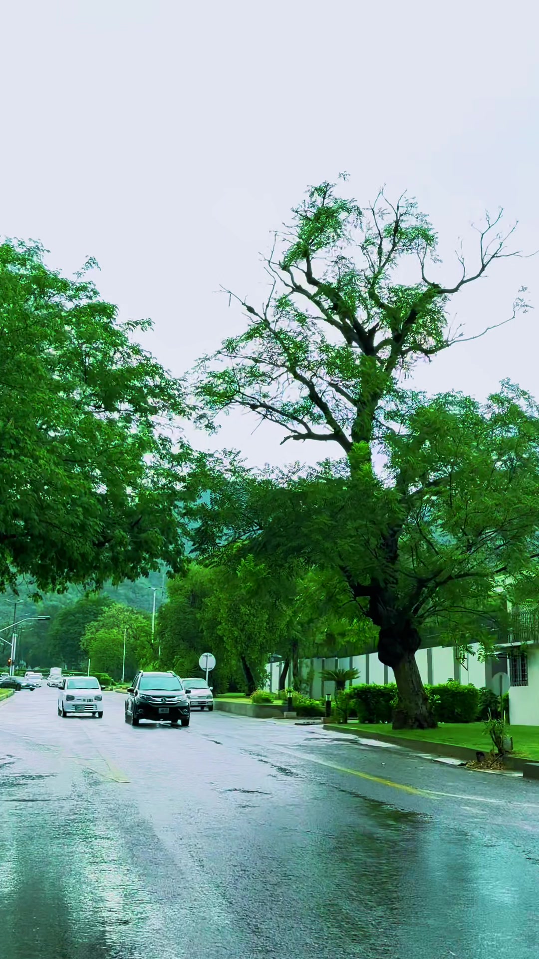 @Discover Islamabad 🌳🌲