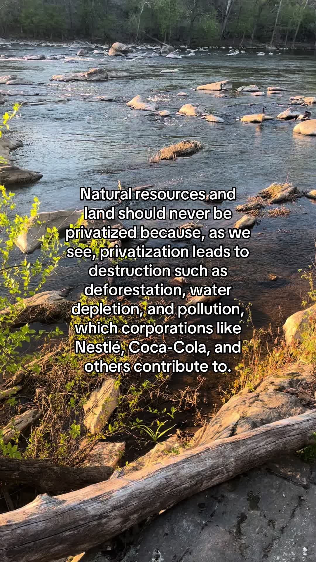 @environmentalist bro