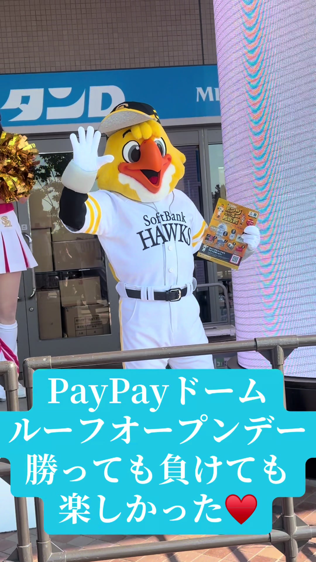 @ホークスまさきファン