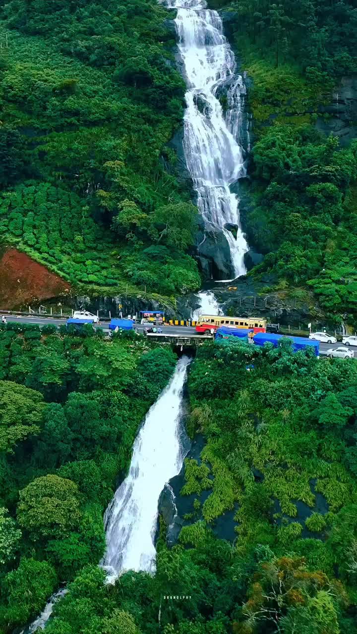 @தமிழ் பொண்ணுங்க