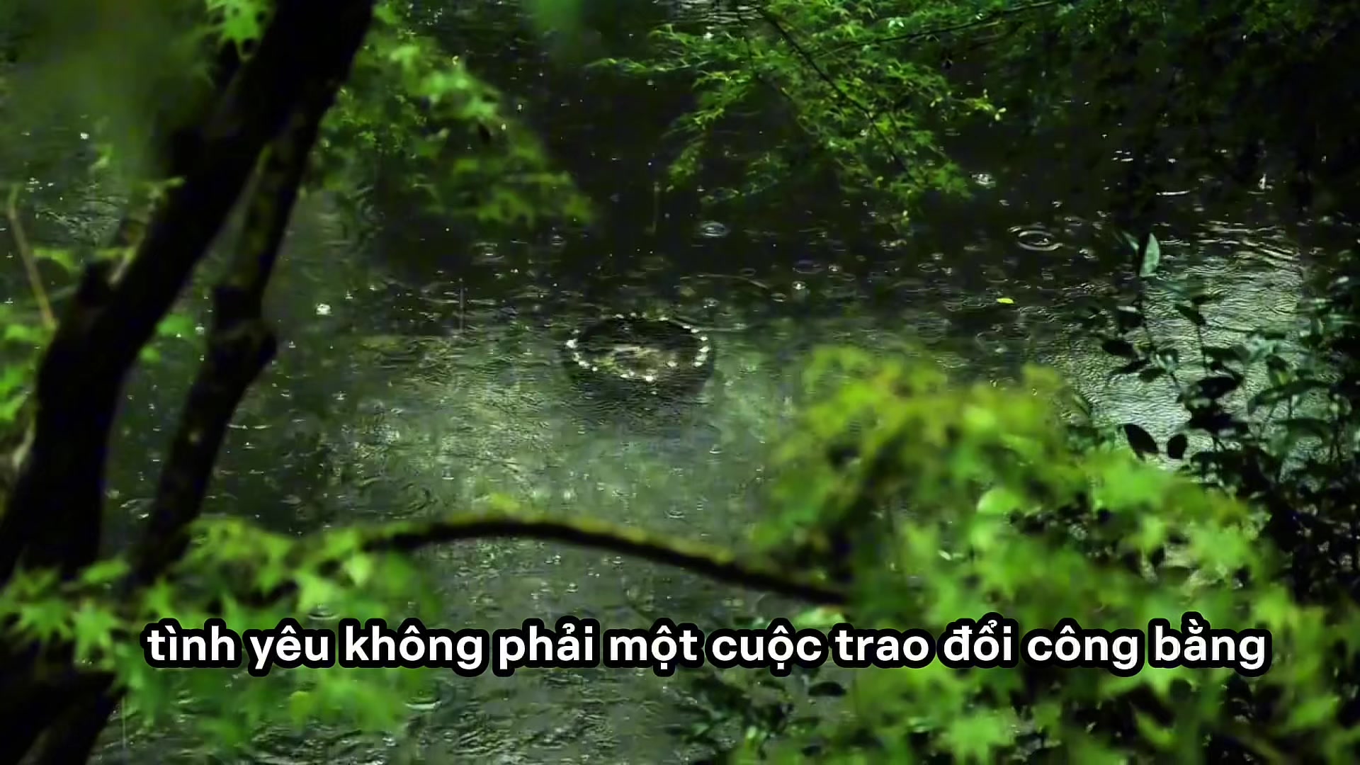 @Ninh Cát