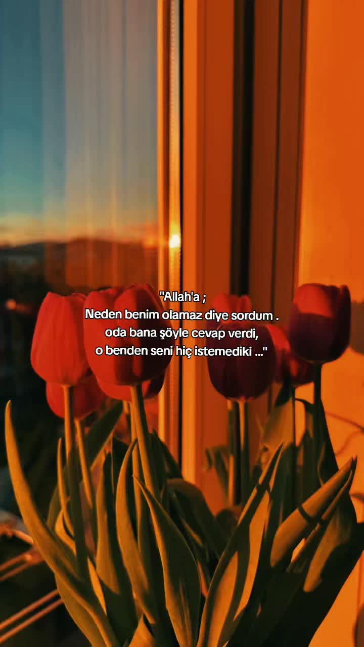 @༄𝑒𝑓𝑡𝑒𝑙𝑦𝑎༄