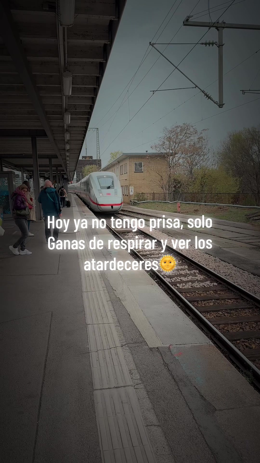 @Alejandropetit