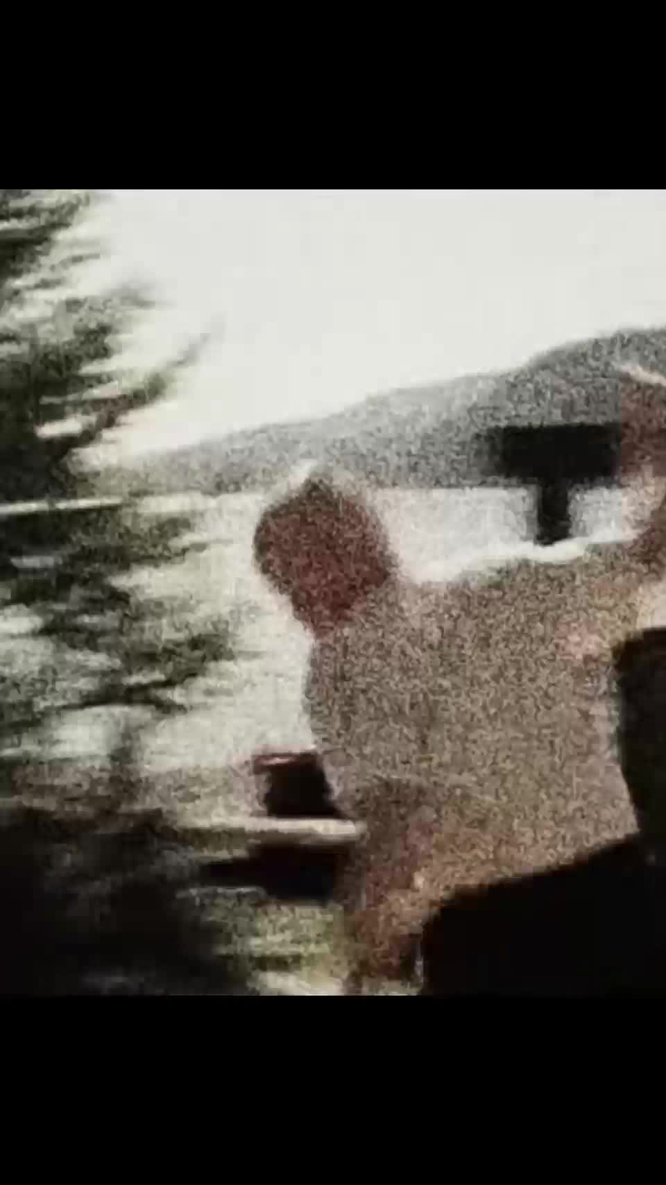 @𖣂︎𝕱𝖑𝖎𝖈𝖐𖣂︎