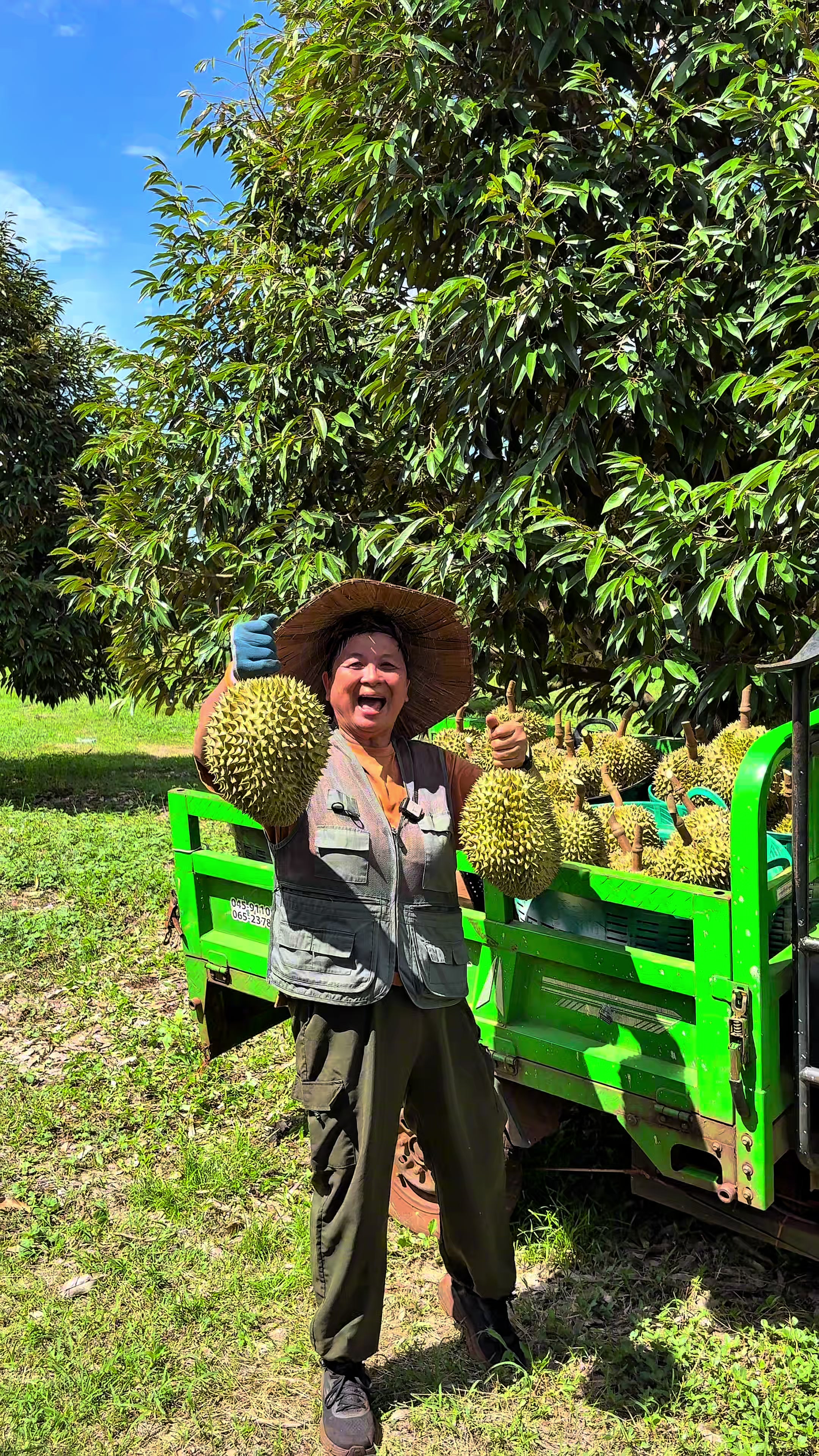 @ไร่วันยังขำ Oneyoungkham farm