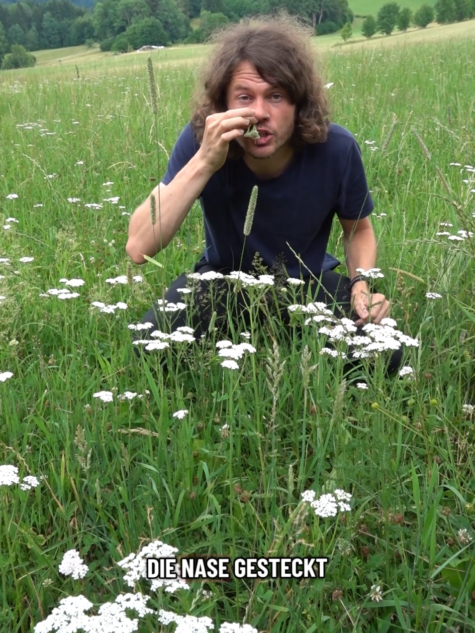 @Buschfunkistan
