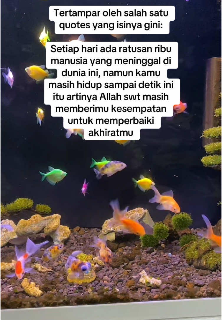 @AJEGLOW
