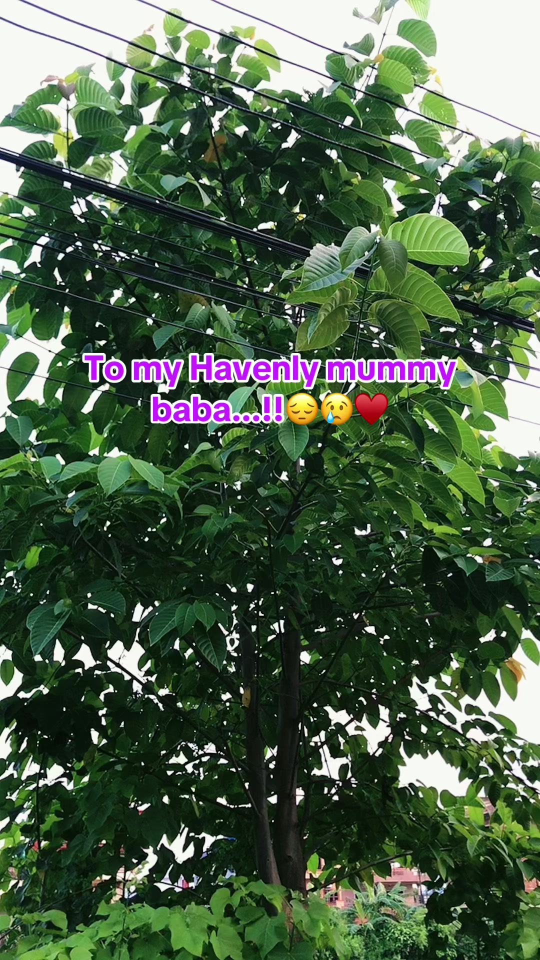@लप्सा भुसाल