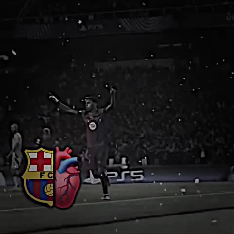 @ZAED HARKI