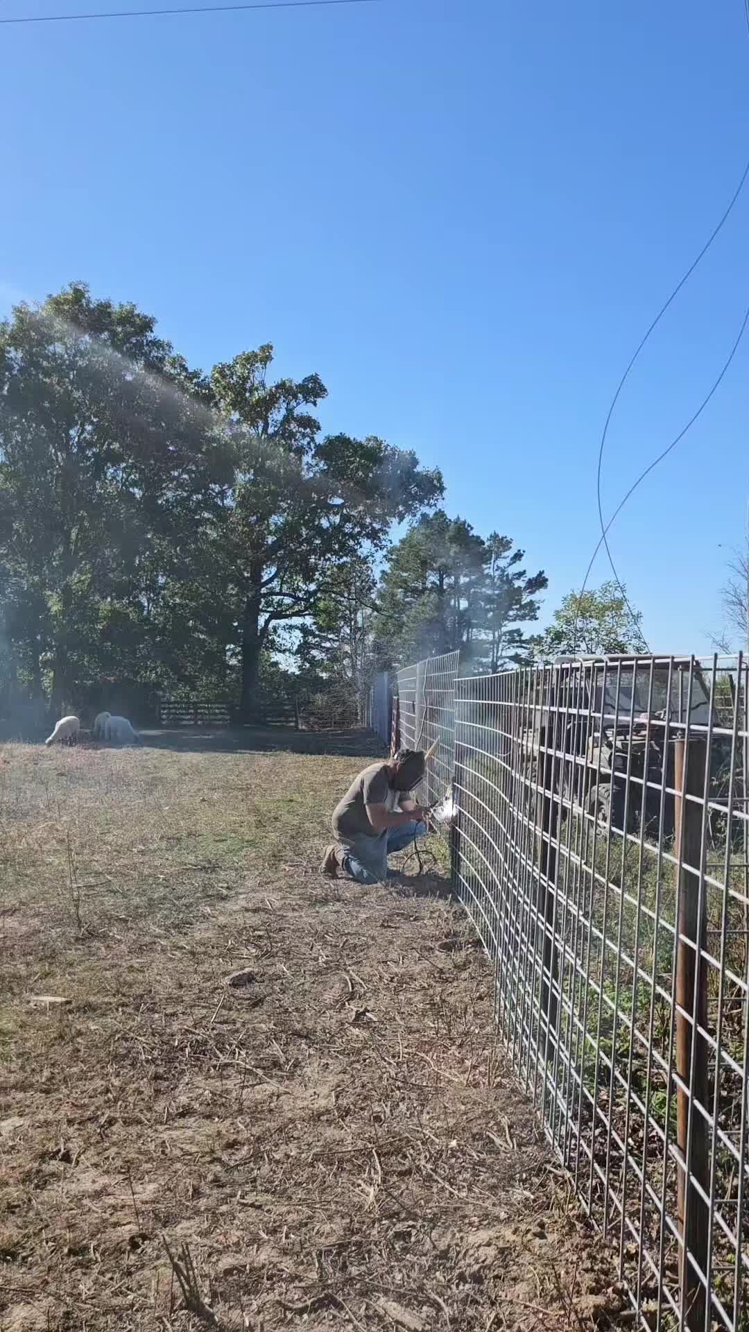 @77Ranch
