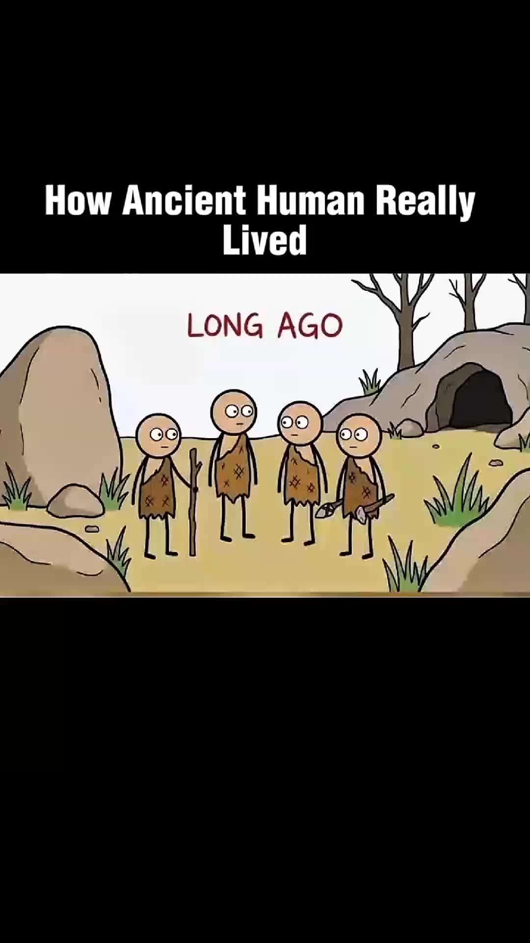 @Physiology facts