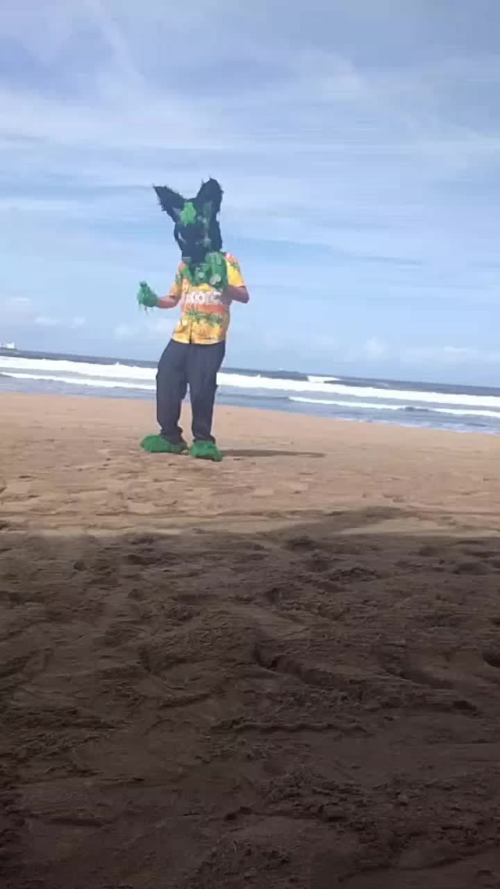 @baltowolf