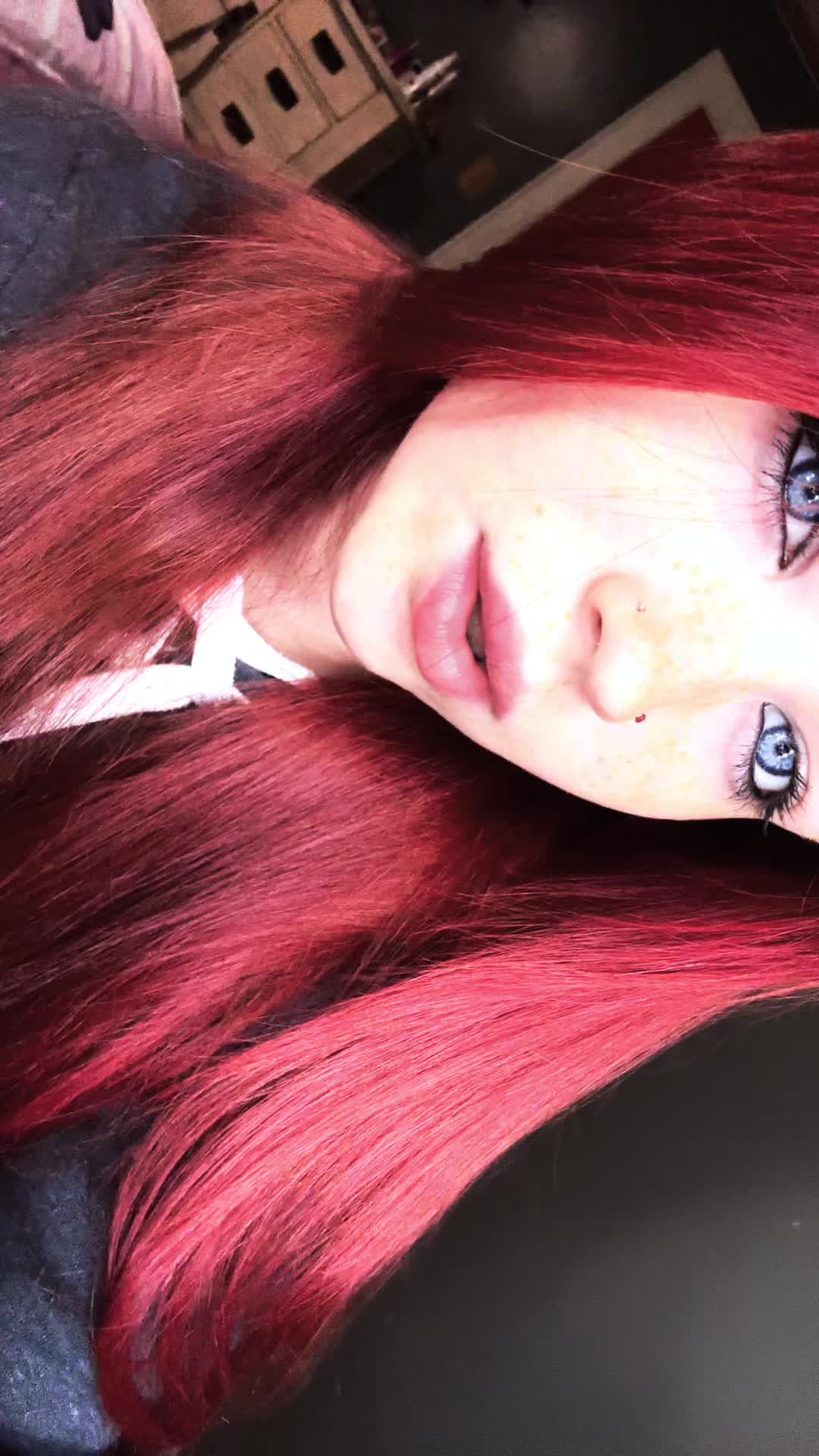 @bear0908