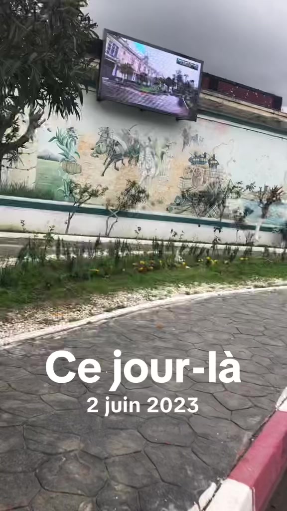 @A.B.23🐆