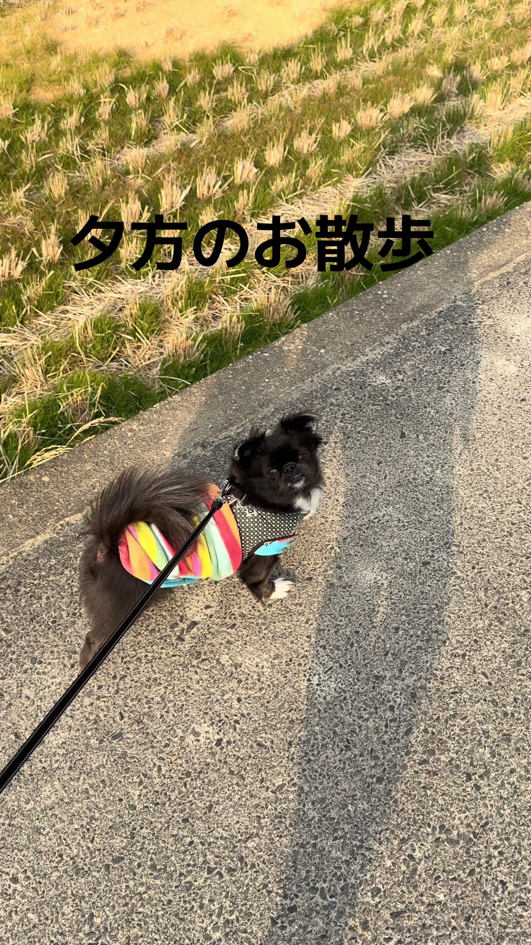 @mak☺︎t☺︎💕(山元)