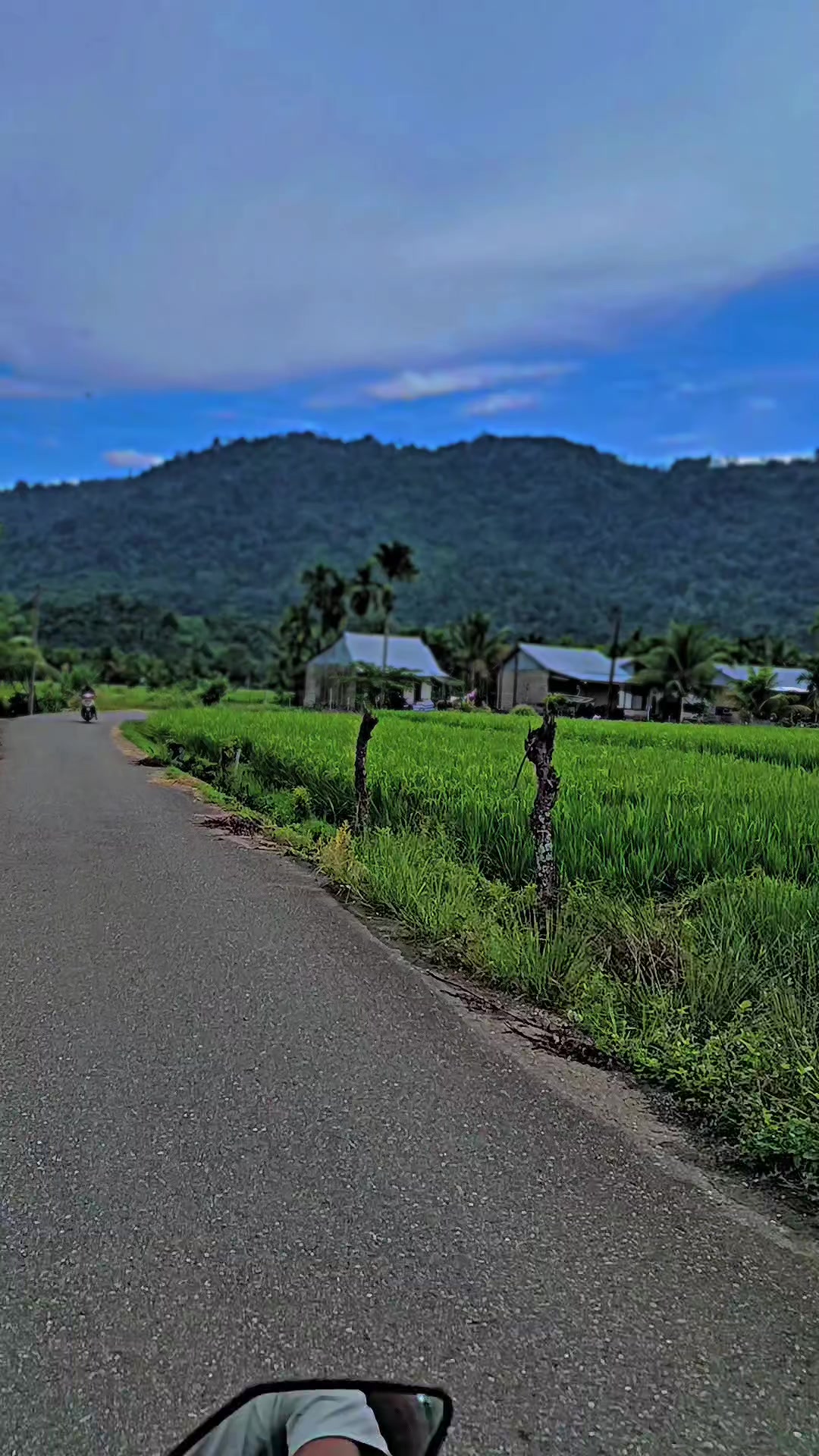 @Tasir_ipst